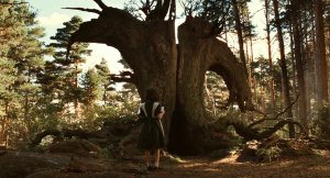 Лабиринт Фавна (El laberinto del fauno)