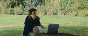 Джейн Остин испортила мне жизнь (Jane Austen a gâché ma vie)