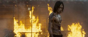 Ниндзя-убийца (Ninja Assassin)