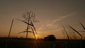 Техасская резня бензопилой: Начало (The Texas Chainsaw Massacre: The Beginning)
