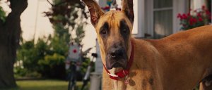 Мармадюк (Marmaduke)