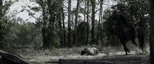 Освобождение (Emancipation)