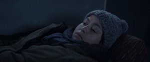 Затерянные во льдах (Arctic)