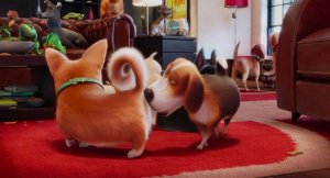 Тайная жизнь домашних животных (The Secret Life of Pets)