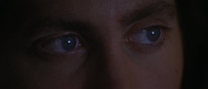 Донни Дарко (Donnie Darko)
