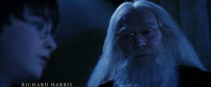 Гарри Поттер 20 лет спустя: Возвращение в Хогвартс (Harry Potter 20th Anniversary: Return to Hogwarts)
